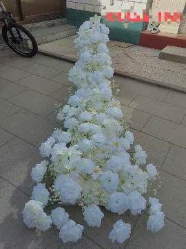 2M WHITE (26-66-3W)