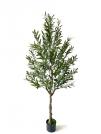 1.8 M OLIVE TREE (26296-4)