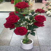 RED (26-0092-1R)