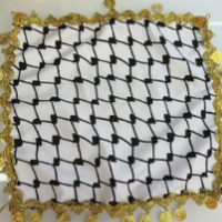 DANCING SCARF W/ GOLD COIN AND RING (12PCS) (26-6982-7)