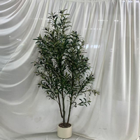 Olive Tree W/ White Vase 1.8m (26-261-2)