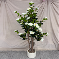 1.6m ,white (26-261-5-w)