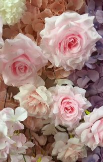 30×1.8M PINK (26-66-2P)