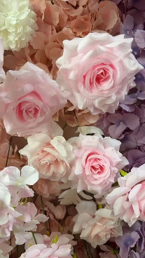 30×1.8M PINK (26-66-2P)