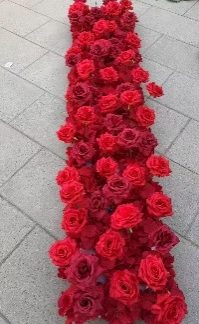 30×1.8M RED (26-66-2R)