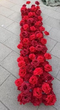 30×1.8M RED (26-66-2R)